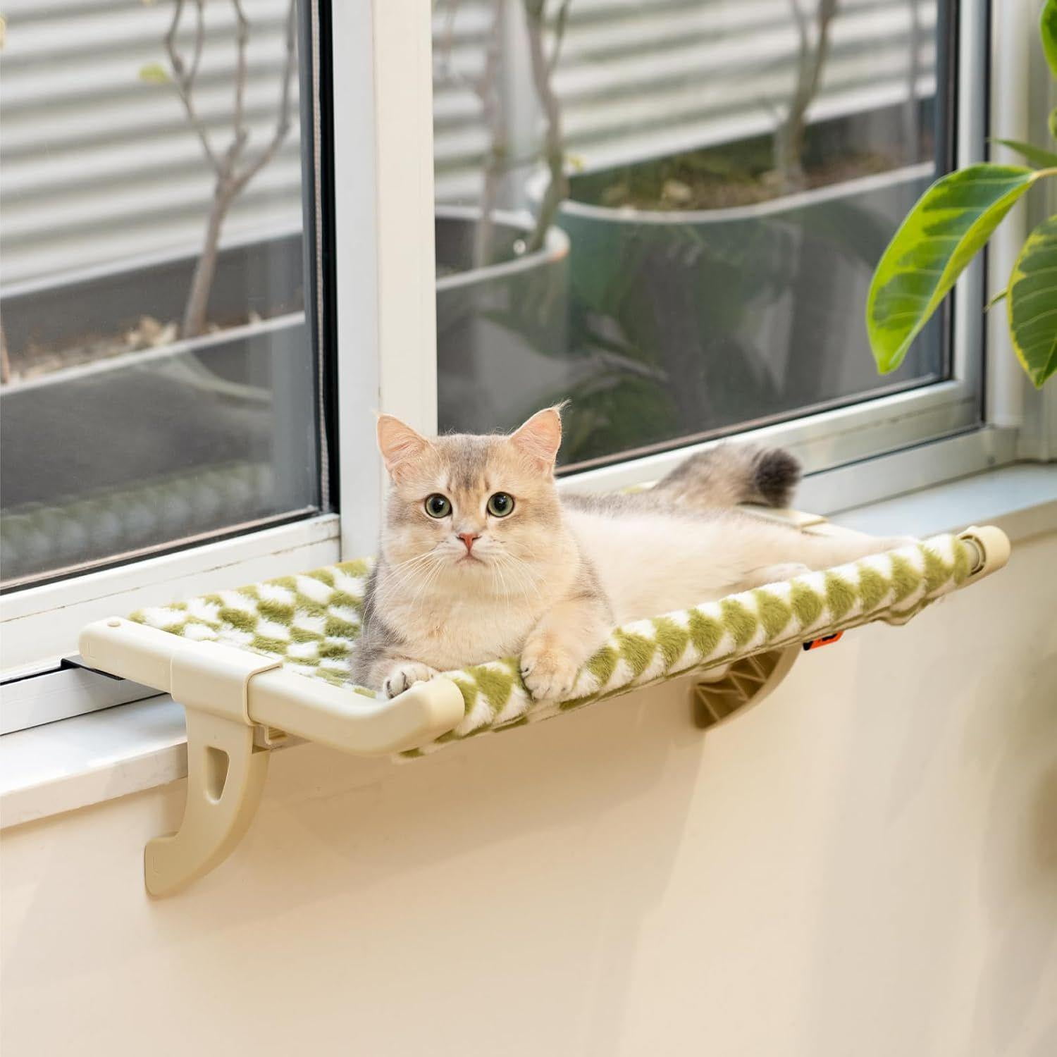 置物 catwalk Amazon.com: MyZoo Avenue | Wall-Mounted Cat Walkway