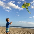 thumbnail image 3 of Large Dinosaur Kite with Long Tail 45 x 80 in for Kids and Adults Beginner, Outdoor Beach Kite with Winding Handle and Line, 3 of 7