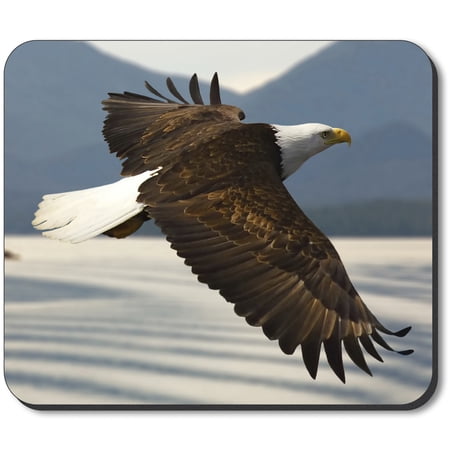 Art Plates Mouse Pad - Flying Eagle price history on PriceWatchPro