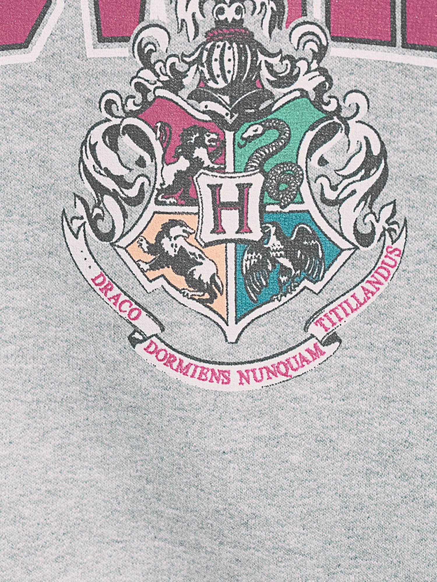 Harry Potter Men's & Big Mens Hogwarts Alumni Long Sleeve Graphic Hoodie Sweatshirt