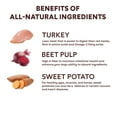 thumbnail image 4 of Pupford Freeze Dried Training Treats for Dogs & Puppies (Turkey & Veggies, 5 oz), 4 of 6