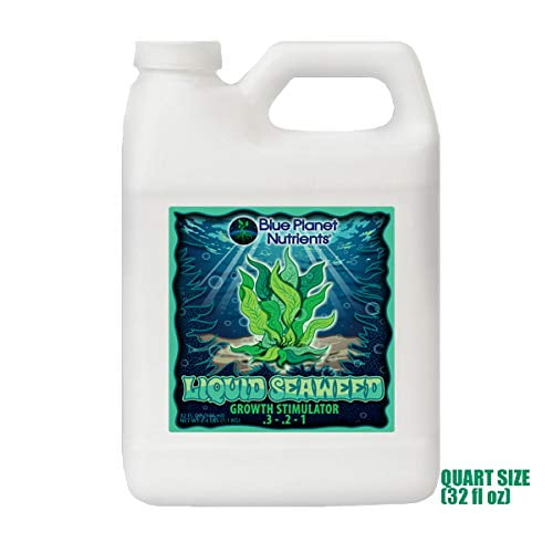 liquid kelp supplement