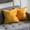 Yellow, variant on Cterwk 2 Pack Soft Velvet Square Throw Pillow Covers Square Cushion Case for Bed Couch Sofa Bench, 24 x 24 inch