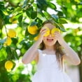 thumbnail image 7 of ⭐ Gardenera Labs's Premium Lemon Tree Soil Mix - 🍋 Perfect Drainage and Nutrient Retention for Citrus Limon Trees - 3 QUART, 7 of 7