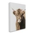 thumbnail image 4 of Stupell Industries Highland Cattle Close-Up Animals & Insects Photography Gallery Wrapped Canvas Art Print Wall Art, 36 x 48, 4 of 8