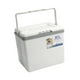 thumbnail image 2 of Nevera portátil, caja aislante, a prueba de fugas, para conservación de alimentos, hielera pequeña para paseos en bote, picnic, barbacoa, de 10 litros, 2 of 8