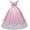 Pink, variant on Enchanted Pink Ballgown Women's Pink Princess Dress Princess Dress Up Fancy Gown