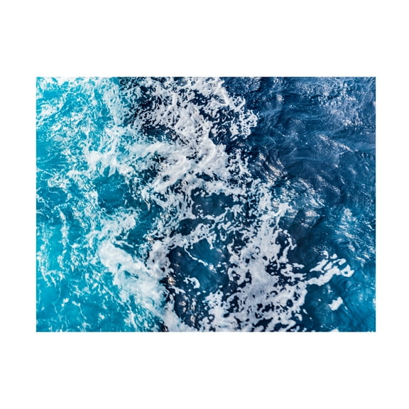 Eva Bane 'Turbulent Tasman Sea V' Canvas Art
