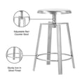 thumbnail image 6 of Meridian Furniture Lang Silver Iron Counter and Bar Stool, 6 of 7