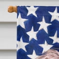 thumbnail image 3 of Irish Water Spaniel American Flag Flag Canvas House Size, 3 of 4
