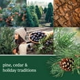 thumbnail image 3 of Yankee Candle Gift Set 3 Signature Small Tumbler Set - Balsam & Cedar, Christmas Cookie, Red Apple Wreath, 3 of 6
