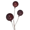 thumbnail image 2 of Vickerman 10' Wine Pearl Branch Ball Wire Garland., 2 of 4