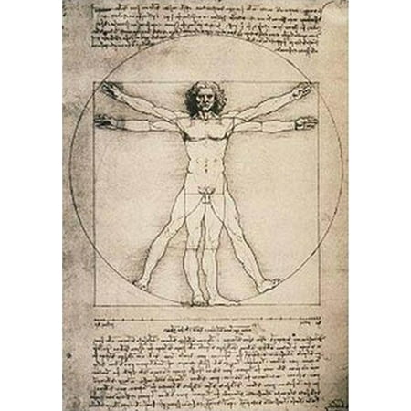 Human Proportions-Vitruvian Man Poster Print by Leonardo Da Vinci (24 x 32) - Walmart.com