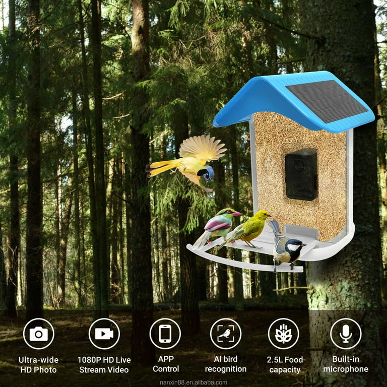 Bird box shop free stream