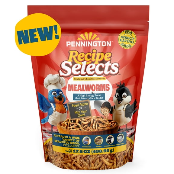 Pennington Recipe Selects Dried Mealworms for Birds, Bluebird and Wild Bird Food for Outside Feeder, 17.6 oz Bag, 1 Pack