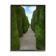thumbnail image 2 of Stupell Industries Topiary Trees Hedge Pathway Landscape Photography Gray Framed Art Print Wall Art, 2 of 5