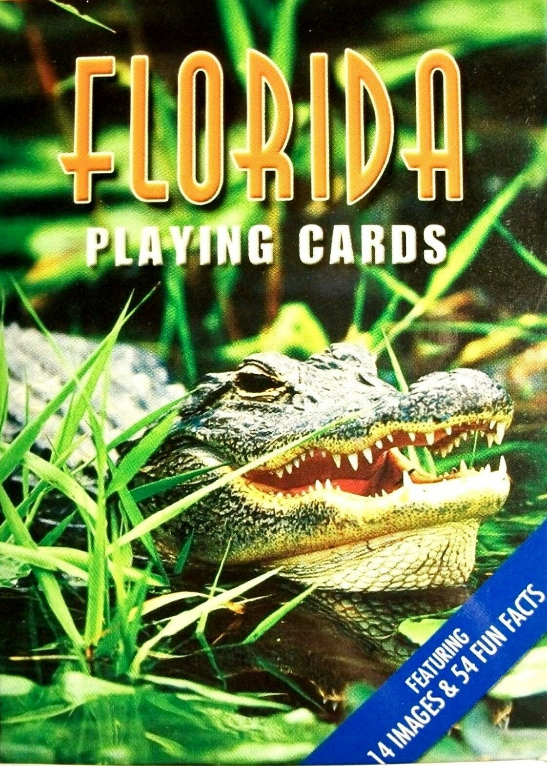 Florida with Gator Souvenir Playing Cards