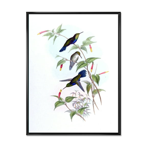 Ancient Hummingbird I 12 in x 20 in Framed Painting Canvas Art Print, by Designart