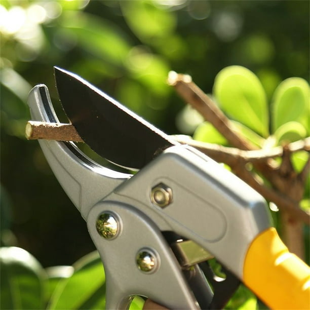 Sécateur d'arbre manuel poignée Bush alliage et sécateur outils de poche pinces  professionnelles jardin fruits fleur souche main 