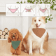 thumbnail image 4 of 4 pañuelos para perros de verano, lindos pañuelos de algodón suave para cachorros y gatos, pañuelos lavables para uso diario, regalos cómodos, 4 of 5