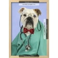 thumbnail image 3 of Bulldog in Vets Scrubs Wearing Glasses and Stethoscope, Animals Figurative Framed Art Print Wall Art Sold by ArtCom, 3 of 6
