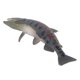 thumbnail image 2 of Estatuilla de Animal marino de seguridad, modelo de Animal en el océano de PVC, juguete educativo interactivo de pez oceánico para el hogar, guardería, PL127 1806, 2 of 9