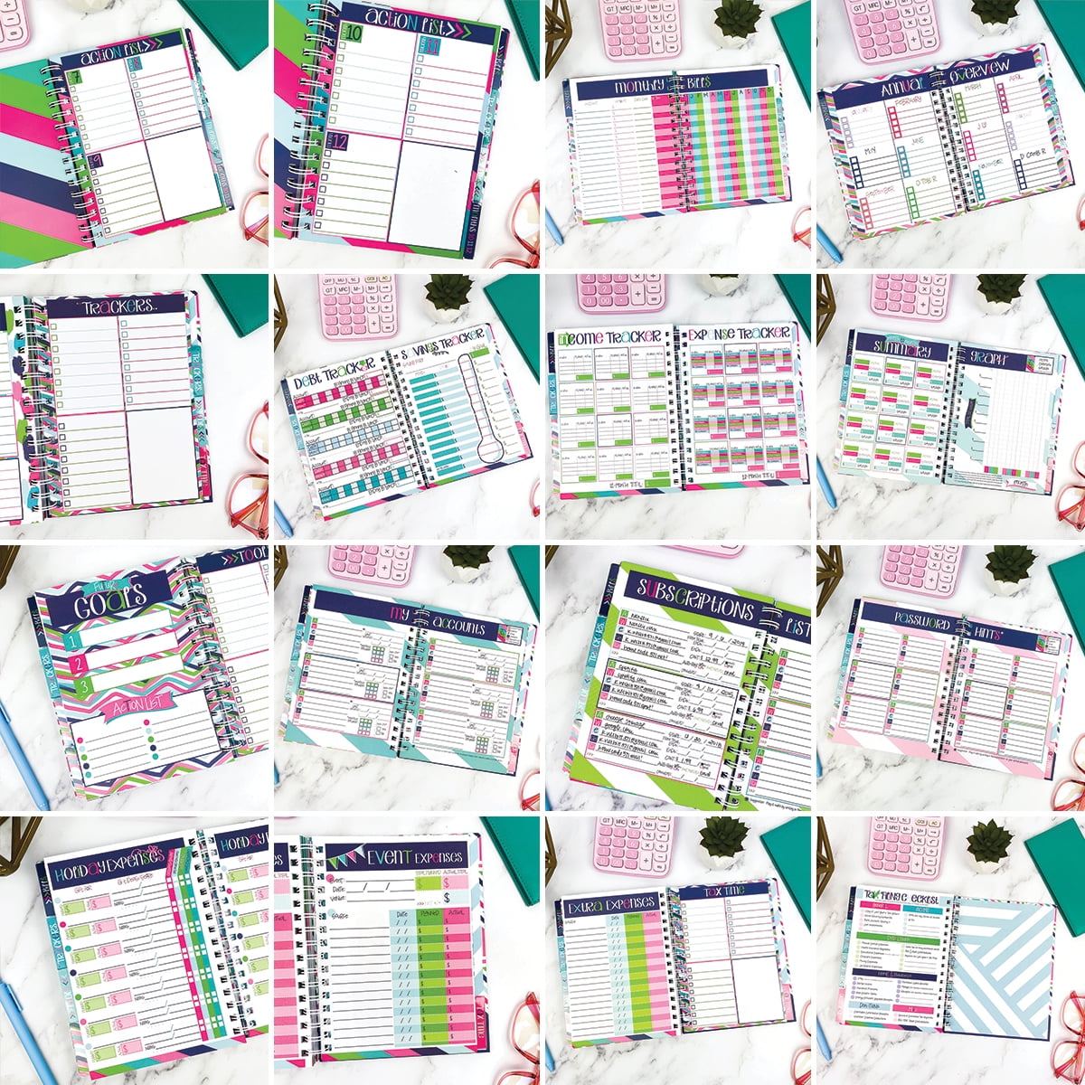 Denise Albright® Budget Binder™ 12-Month Financial Planner with 722 Stickers, Bill & Expense Tracker, Money Management Organizer