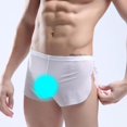 thumbnail image 2 of Ropa interior de malla transparente para hombre Calzoncillos cortos sueltos Calzoncillos Lencería masculina Yinane Ropa interior de hombre, 2 of 7