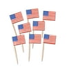 Party Central Club Pack of 12 Red and Blue Patriotic US Flag Food or Drink Decoration Party Picks