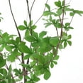 thumbnail image 6 of Noble House Coles 4' x 2.5' Artificial Enkianthus Tree, Green, 6 of 7
