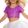 thumbnail image 3 of WhouRiu Little Girl' T Shirt Glitter Sequin Short Sleeve Crop Tshirt Children Stage Singing Dancing Show Elastic Tee Purple,Sized 3-8, 3 of 3