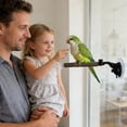 thumbnail image 5 of Wooden Bird Perch with Window Suction Cup Mount Natural Wood Stand for Parrots & Small Birds Removable Activity Perch for Cage Window Balcony 9.8" x 2.6" x 2.6", 5 of 5