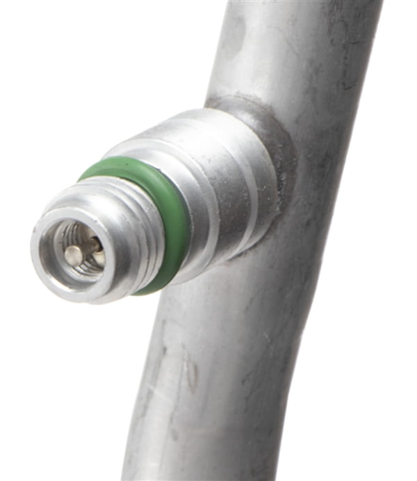 Discharge Line Hose Assembly