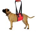 thumbnail image 1 of Cinturón de seguridad para perros, cinturón de seguridad de apoyo para perros, cinturón de seguridad de elevación trasera, cinturón de asistencia para caminar, cinturón de seguridad de cuerp, 1 of 5