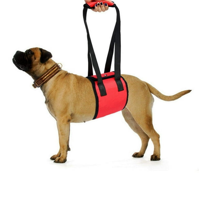 Cinturón de seguridad para perros, cinturón de seguridad de apoyo para perros, cinturón de seguridad de elevación trasera, cinturón de asistencia para caminar, cinturón de seguridad de cuerp