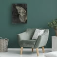 thumbnail image 4 of Canvas Wall Art - Tom Quartermaine 'Grunge Butterfly' Wall Art for Living Room, Bedroom, or Office Décor by Trademark Fine Art - 14 x 19 Inches, 4 of 4