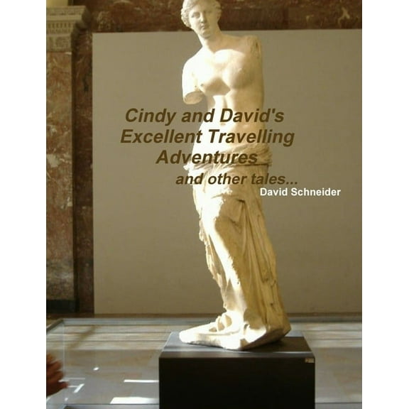 Cindy and David's Excellent Travelling Adventures, (Paperback)