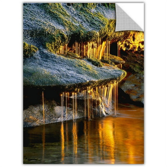 Dean Uhlinger Dripping Sunlight, Art Appeelz Removable Wall Art Graphic