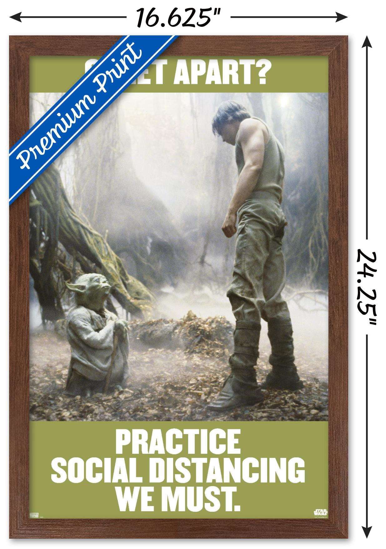 Star Wars: Saga - Luke and Yoda Social Distancing Wall Poster, 14.725" x 22.375", Framed