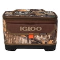 thumbnail image 2 of Igloo 4797833 18 Can Real Tree Camo Bag Cooler, 2 of 5