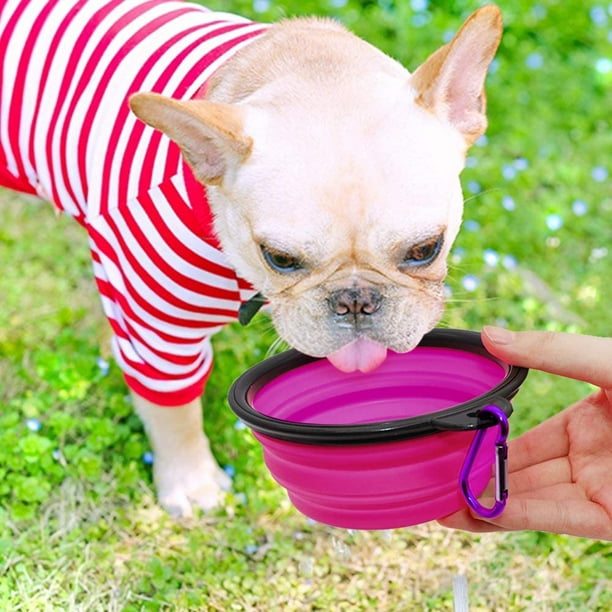 Collapsible Dog Bowl 2 Pack Collapsible Dog Water Bowls for Cats Dogs Portable Pet Feeding Watering Dish for Walking Parking 1000ML Green Purple Walmart