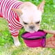 thumbnail image 5 of Cuenco plegable para perros, paquete de 2 cuencos de agua plegables para perros para gatos y perros,y estacionar 1000 ml (verde + morado) brillar Hogar, 5 of 6