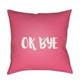 thumbnail image 2 of Ok Bye 18 x 18 x 4 Throw Pillow, 2 of 2