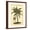 Brown Frame, variant on Art.com British Colonial Palm III Art Print, 12" x 16"