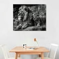 thumbnail image 2 of JRXY Lion and Lioness Canvas Wall Art Black and White Lion Poster Wild Animal Art Lion Wall Pictures African Lion Canvas Wall Art Modern Animal Pictures for Living Room Bedroom Office  20x16in, 2 of 6