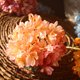thumbnail image 2 of Flores de Hortensias de Imitación Flor de Simulación de Borde Quemado para Decoración de Centros de Mesa de Boda Fiesta en Casa ANGGREK Otros, 2 of 8