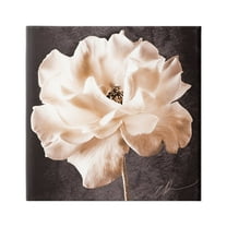 Stupell Industries Vintage Rose Photography Botanical & Floral Painting Gallery Wrapped Canvas Art Print Wall Art, 36 x 36