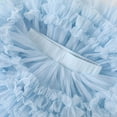 thumbnail image 6 of Baby Girl Tutu Skirt Tulle Dress Princess Ballet Skirts Birthday Cake Smash Outfit 1-5T Girls Tulle Skirt Toddler Girl Pink Tutu Skirt, 6 of 7