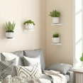 thumbnail image 4 of 4-Pack Small Floating Shelves for Wall, Wood Shelf 5 Inch Display Ledges Room Decor, Mini with 2 Types of Installation, 4 of 9