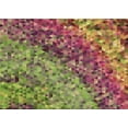 thumbnail image 1 of Ahgly Company Indoor Rectangle Patterned Acid Green Area Rugs, 7' x 9', 1 of 6